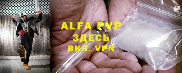 стафф Алексин