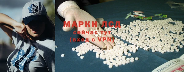 стафф Алексин