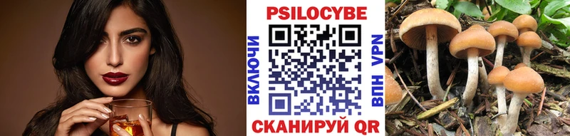 Псилоцибиновые грибы Psilocybine cubensis  Алупка 